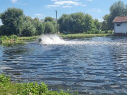 Forellenteich Großpaschleben 2