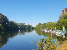 20250630_Salzmünde_Angeln_2